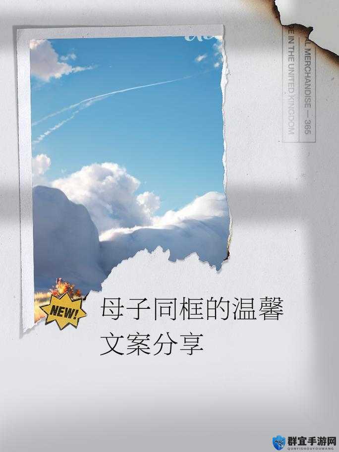 以母爱与生命的延续为主题，解读丰年经的继拇 9M的深刻寓意