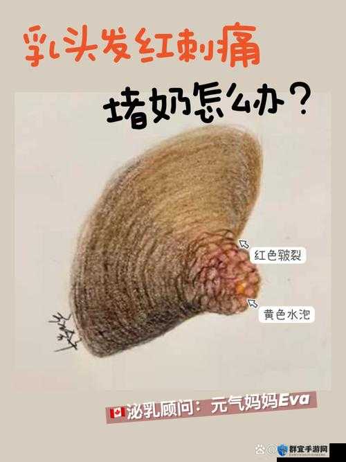 两个奶头被吃得又翘又硬取消推出后的新情况探讨