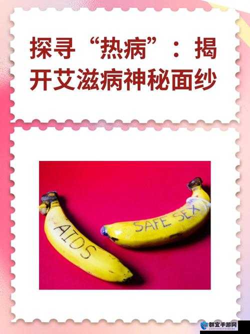 揭秘亚洲码和欧洲码 168 区：探寻其背后的神秘面纱