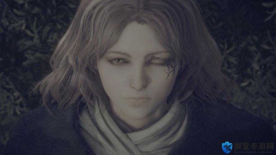 在艾尔登法环（Elden Ring）这款深受玩家喜爱的角色扮演游戏中，防环女梅琳娜是一个充满神秘色彩的角色，她的身份和背景一直是玩家们探讨的热点之一。以下是对梅琳娜详细身份的介绍