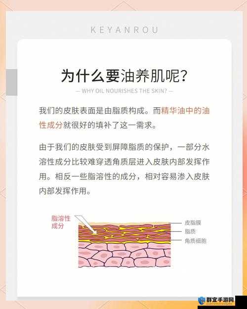 69 一区二三区好的精华液：让肌肤焕发光彩的秘密武器
