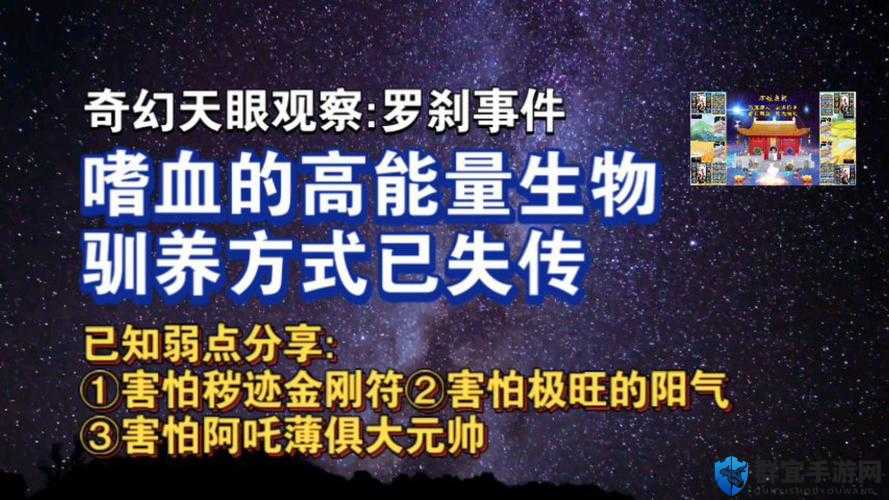 老八灰第一回：揭秘神秘奇幻世界的开篇之旅
