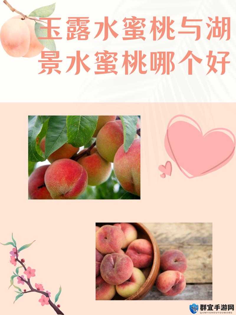当水蜜桃 V2 遇到新挑战：如何在竞争中脱颖而出