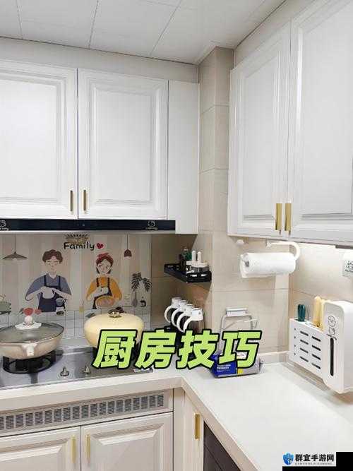 厨房双人模式下的烹饪乐趣与合作技巧探讨