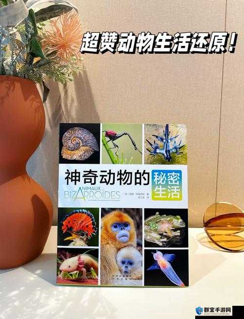 ZOOM 动物：探索神奇动物世界的奇妙之旅