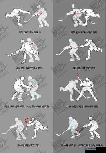 尾巴插件 play 冰球玩家评价：深入探究其游戏体验与技巧