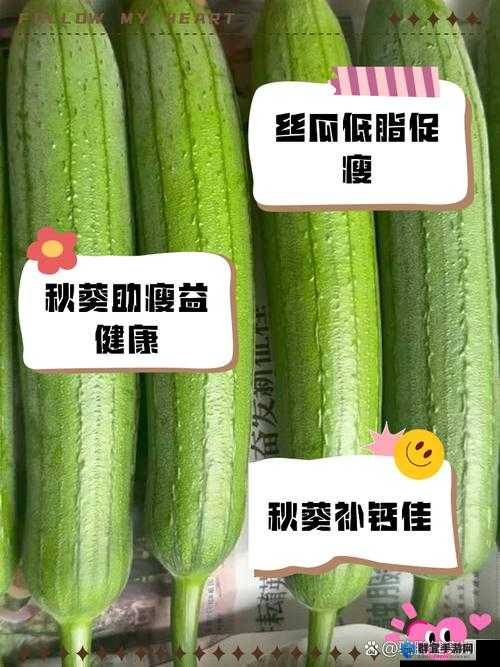 秋葵香蕉草莓芒果绿巨人 18 带来的奇妙美食体验