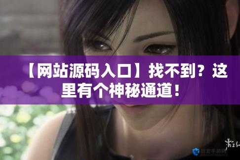 成品网站源码入口隐藏通道：探寻背后的神秘技术路径