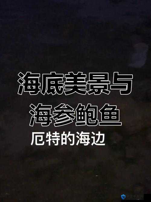 鲍鱼直播：探寻海洋奥秘，领略海底世界的奇妙