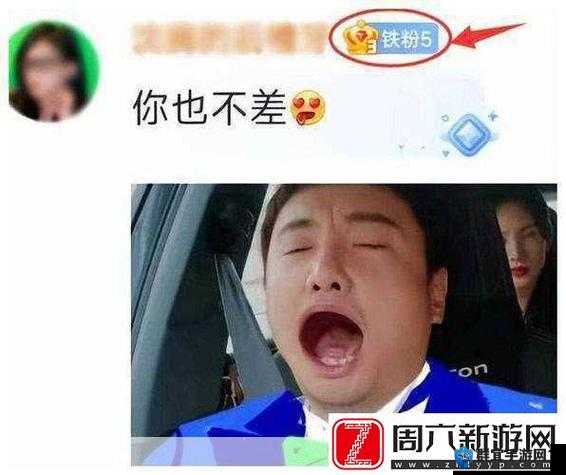 麻花豆传之神奇冒险历程与精彩故事呈现