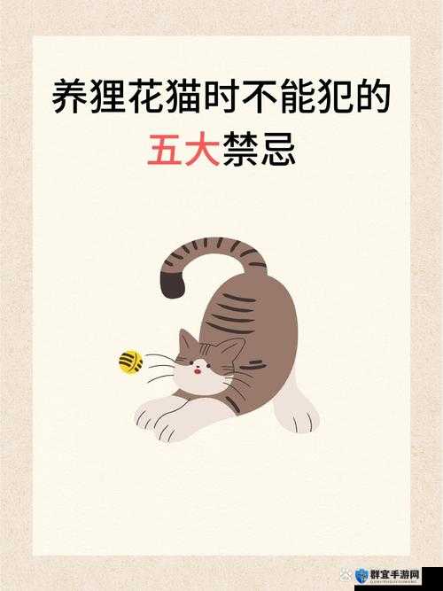 车子一晃一晃就 C 进肉了的游戏：高速行进中的禁忌挑战