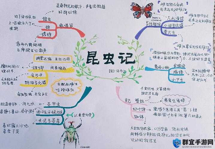 守墓人飞蛾捕捉秘籍，全昆虫捕捉方法大揭秘