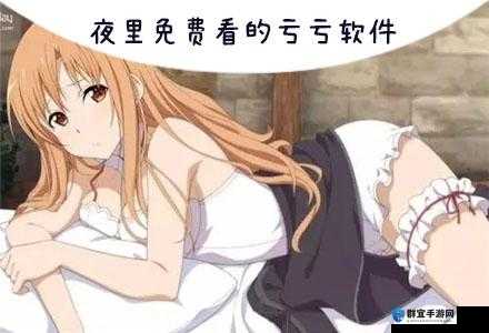 免费夜里十大禁用 APP 软件：畅享无扰夜生活的宝藏指南