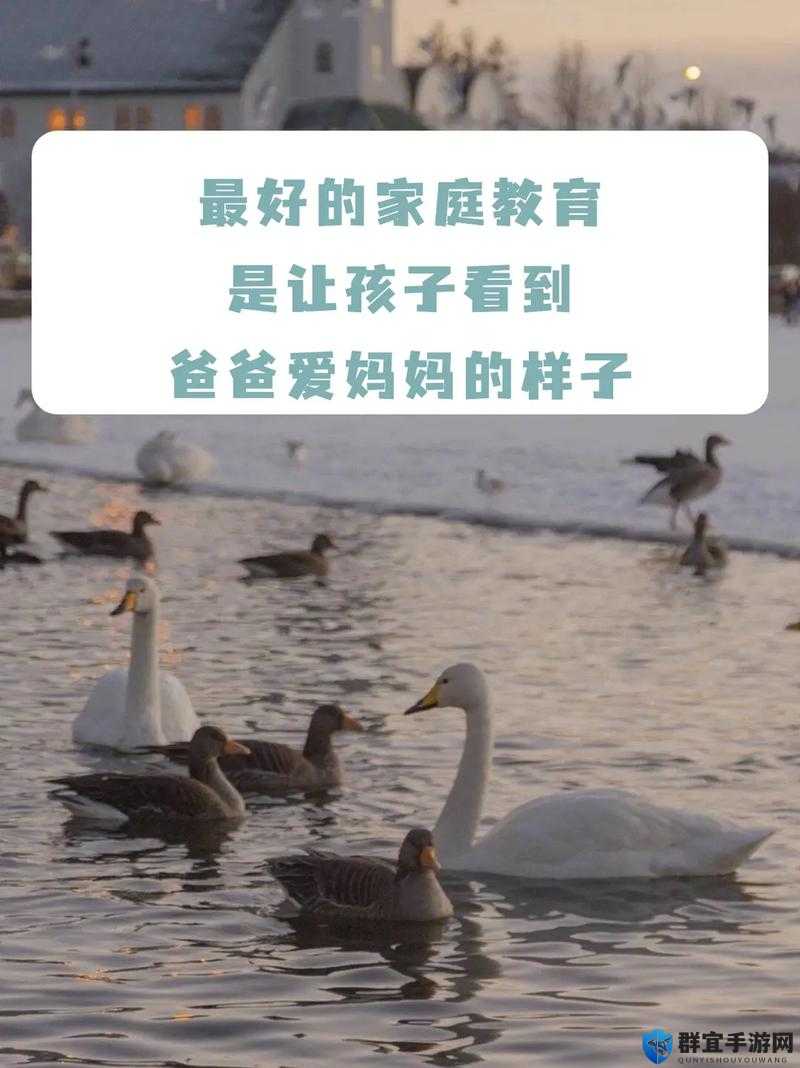 爸爸比老公大两倍妈妈该怎么教育：深度探讨教育方式与应对策略