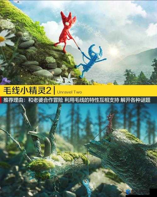 大力内射：探索未知的极限