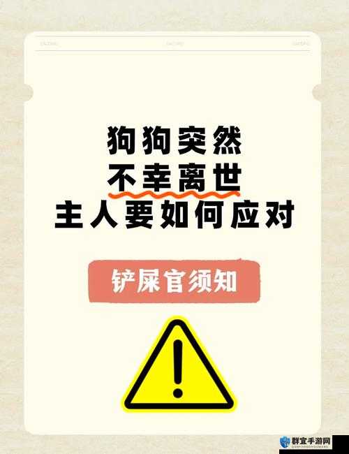 狗狗的东西又硬又长怎么办：主人应该采取哪些措施应对