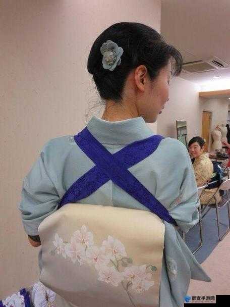 日本 xxwwwxxxx：深度解析其背后的文化内涵与发展趋势