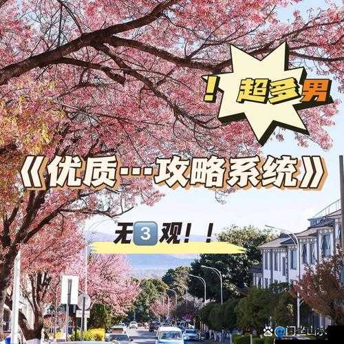 优质 RB 攻略系统游戏沈芙：手把手教你征服她