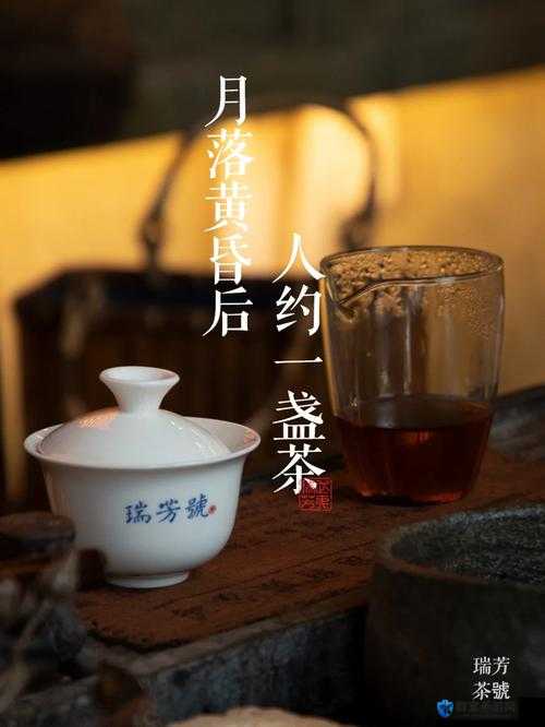 300 一晚同城约茶，你值得拥有