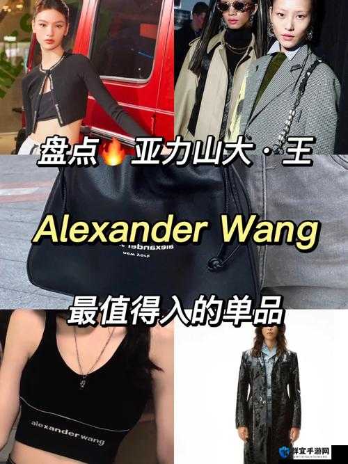 ALEXANDERWANG 妈妈评测:时尚界的权威之选