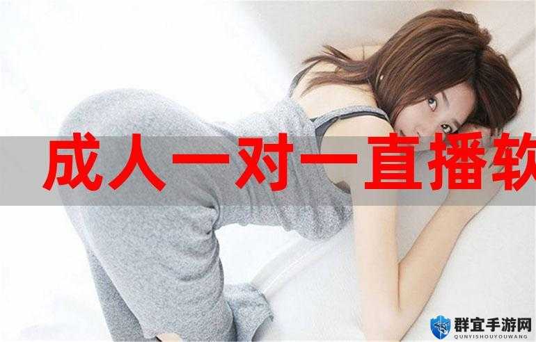 一对一对一视频：开启独特交流与互动的全新体验之旅