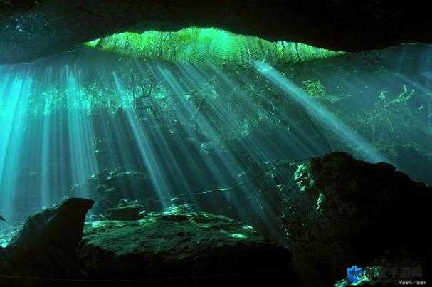 伊甸园 ons ：一个充满神秘与奇幻的理想之地