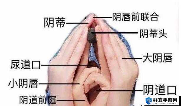 女生私处主动敞开让男生插入相关内容探讨