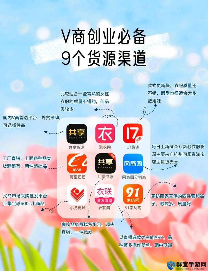 免费代理提供货源：开启便捷货源获取之路