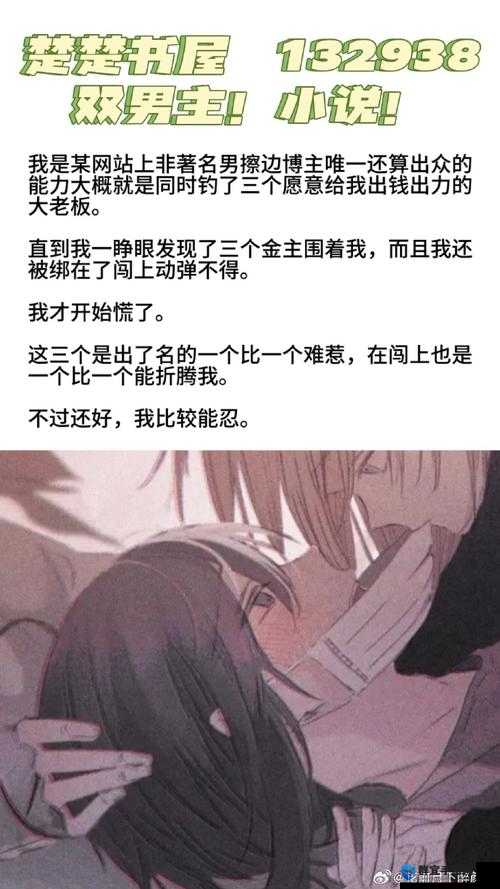 三位金主 1v3 骄纵：一场惊心动魄的豪门情感纷争