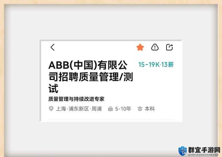 十大夜禁用 abb:关于其详细解读与分析探讨
