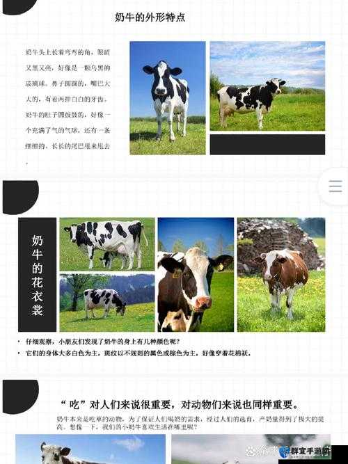 如何利用奶牛福建 app 导航更好地了解湖南教育的优势