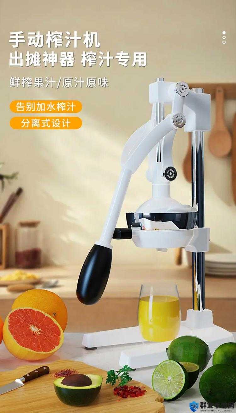 c93t 榨汁机:带来新鲜美味果汁的最佳伙伴
