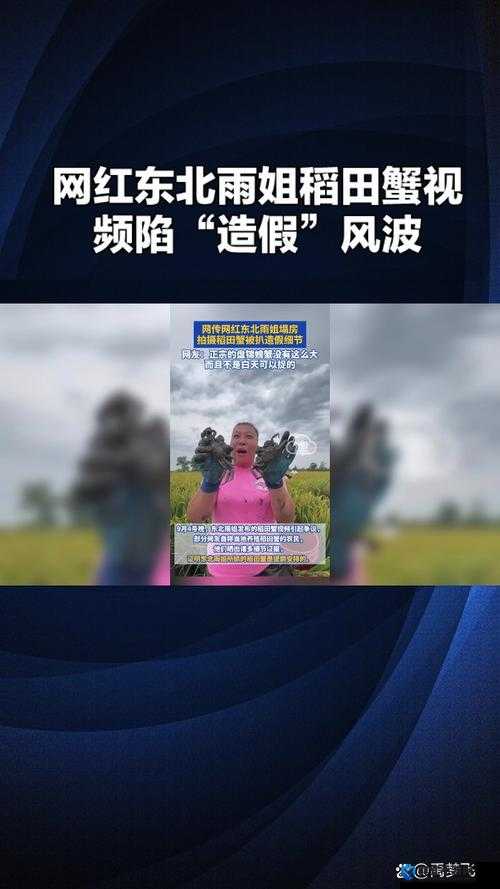 别顶了视频：一段引发争议的网络视频