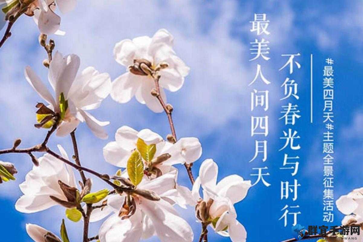 亭亭玉立人间四月天爱草：那一抹令人心动的清新与美好