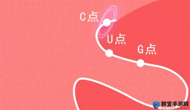 自 W 到高 C 的 50 种图片教程视频-详细全面的教学指导