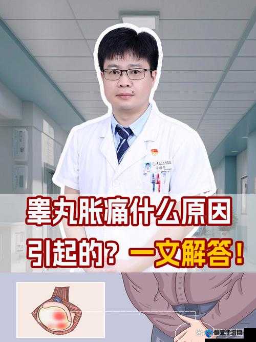 硬了一晚上睾丸疼多长时间能恢复:相关问题的详细解答