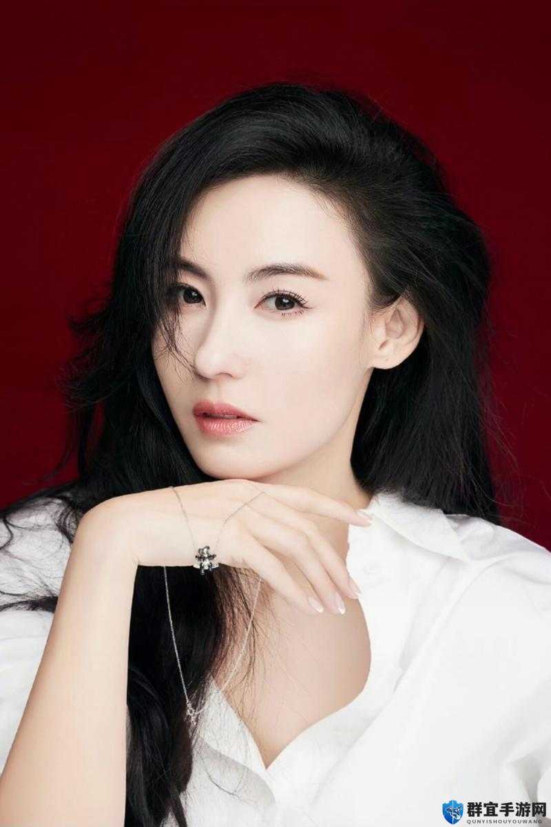 张柏芝 Sm :魅力与才华并存的演艺之路璀璨非凡