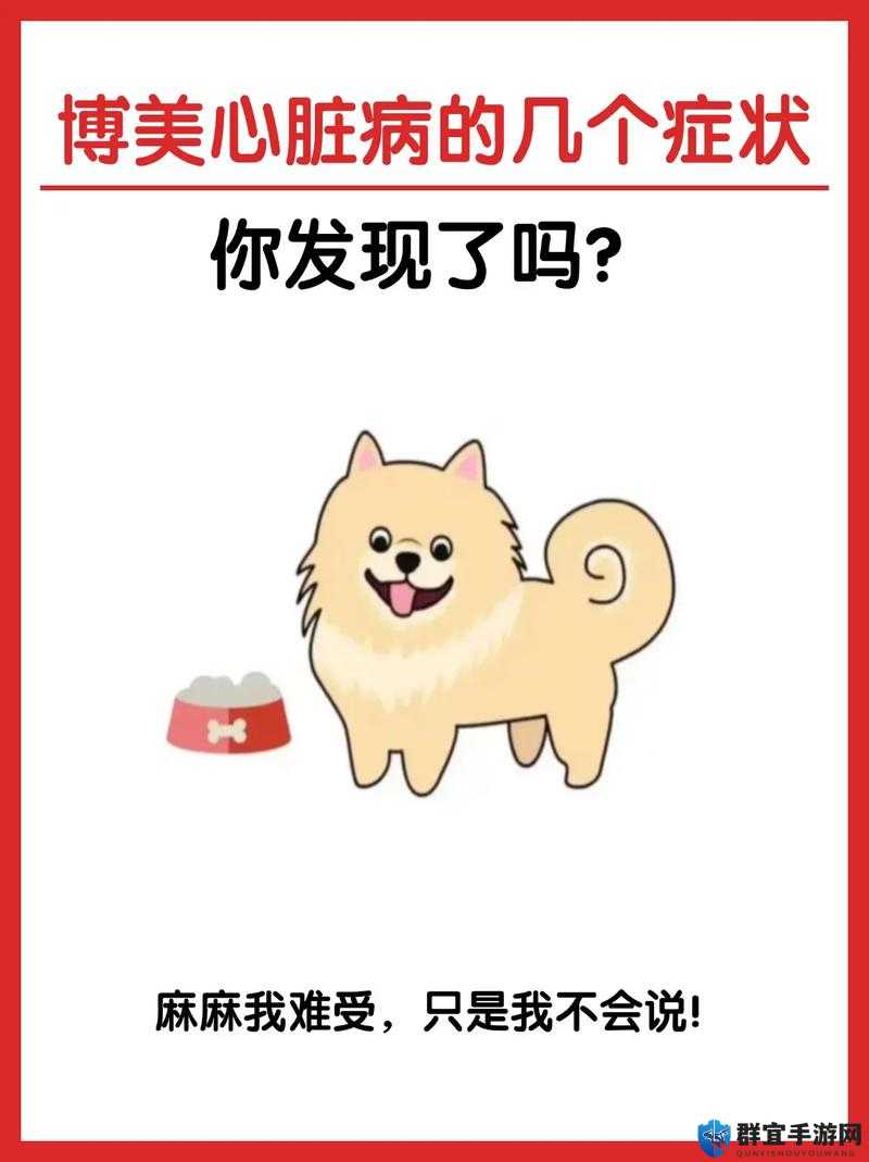 痴情男恋爱脑，为博美人欢心，狂砸 66 万，最终人财两空：唏嘘