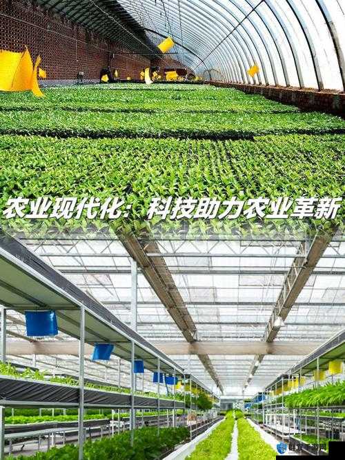 优质JY灌溉系统苏软软：打造高效农业的创新力量