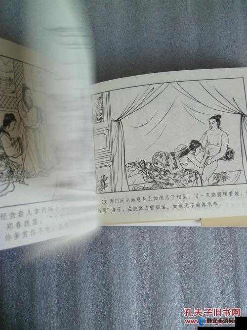 林太太府中逢甘雨：一场特殊的相遇与故事发展