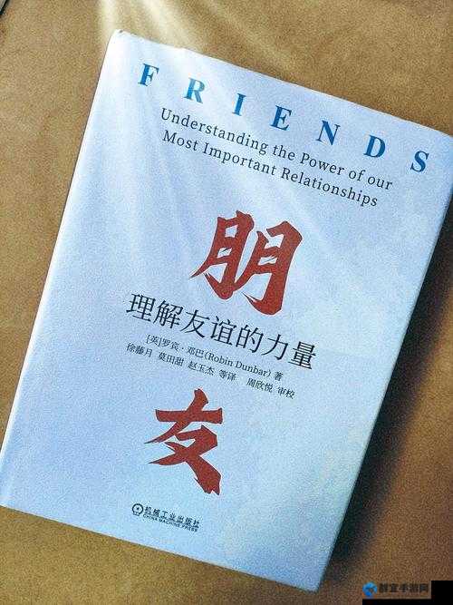友情的边界:探寻其深度与限度的奥秘