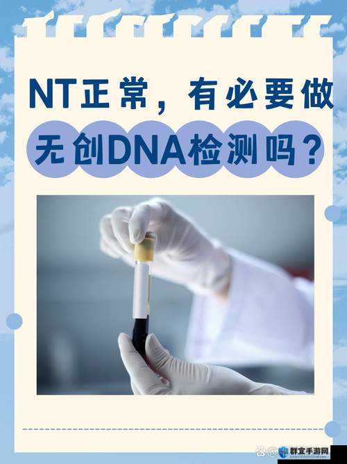 日本人 AA 制是不是很凉薄:深入探讨其背后的文化与观念差异