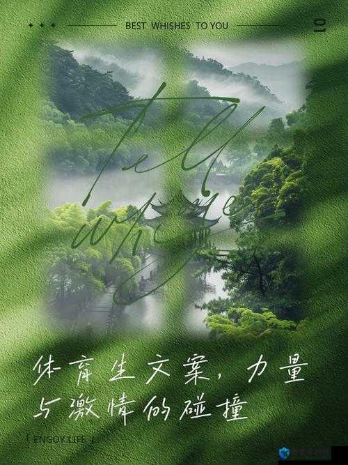 体育生的别样互插故事:激情与汗水的碰撞
