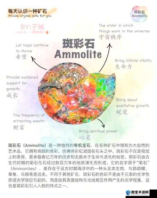 欧洲一级 137：探索其背后的神秘魅力与价值
