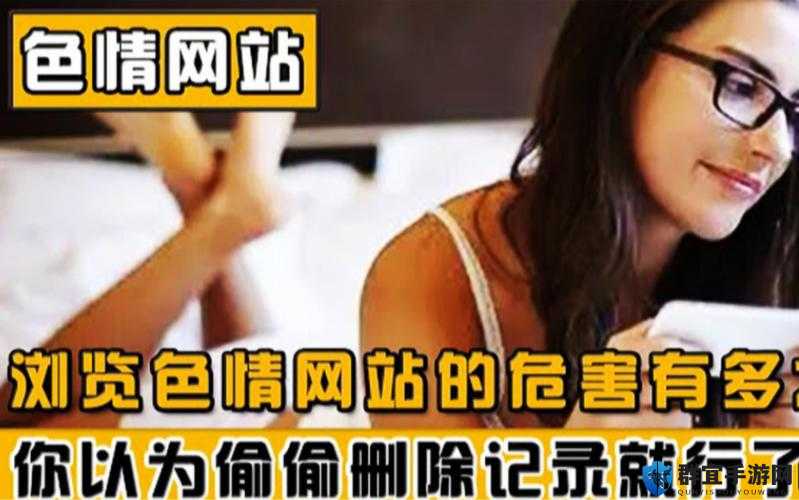 深夜成年人 网站：激情无限的私密空间