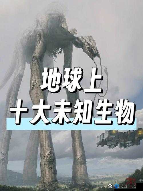无人区编码 6229JmV3 背后隐藏的神秘未知世界
