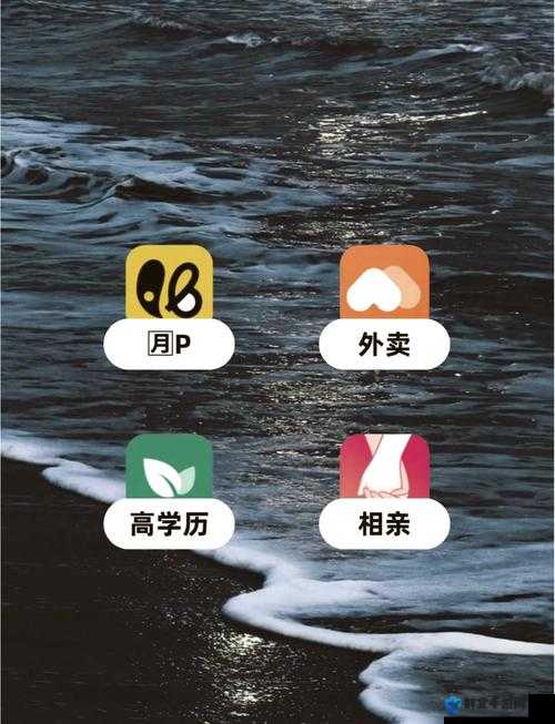 成品人 APP 软件下载：体验成年人世界的无限可能