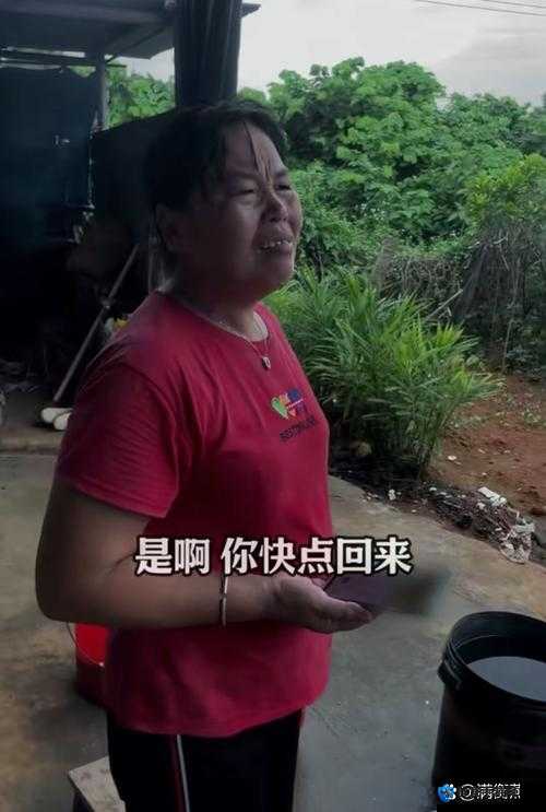 沈娜娜为父欠债：困境中的坚守与责任的担当