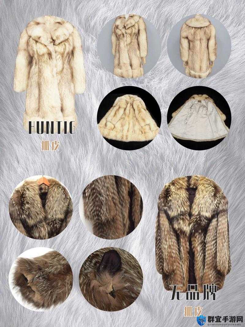 AAAA 级毛皮是正规品牌吗:关于其品牌性质的深入探讨