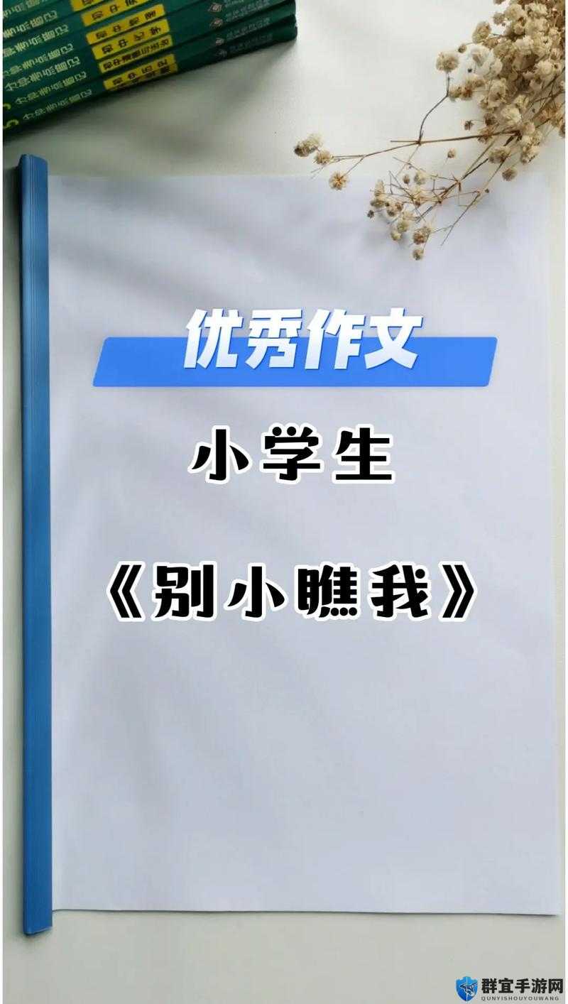 别小瞧我不然有你好看的
